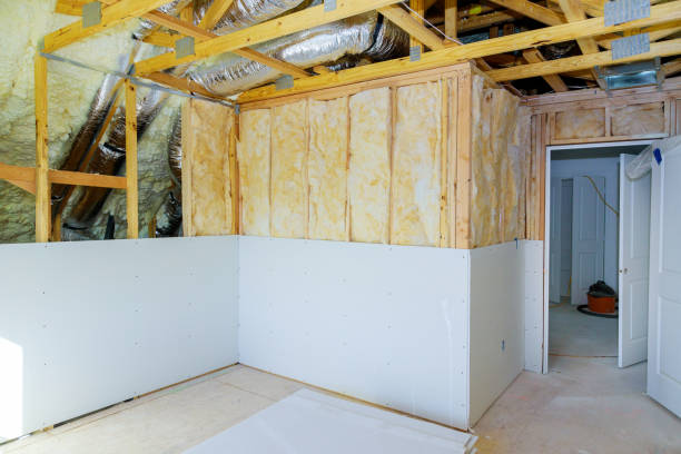 Best Spray Foam Insulation  in Aliso Viejo, CA