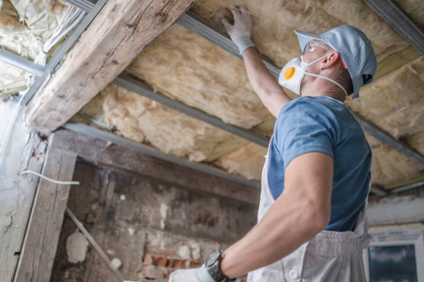 Best Cellulose Insulation  in Aliso Viejo, CA