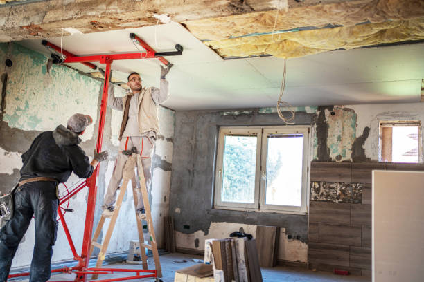 Best Professional Insulation Contractor  in Aliso Viejo, CA