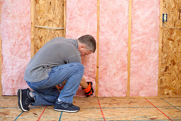 Best Affordable Insulation Services  in Aliso Viejo, CA