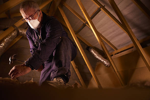 Best Attic Insulation Installation  in Aliso Viejo, CA